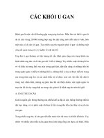 CÁC KHỐI U GAN docx