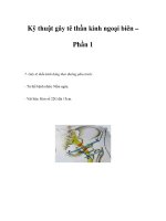 Kỹ thuật gây tê thần kinh ngoại biên – Phần 1 pot