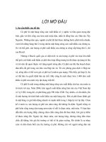 phân tích hiệu quả của công ty tnhh một thành viên xuất nhập khẩu 2 - 9 daklak (simexco daklak) khi tham gia thị trường tương lai