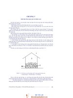 Giáo trình -Bảo quản nông sản -chương 5 potx