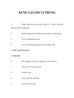 ÁP XE GAN DO VI TRÙNG pot