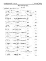 EXERCISES ON RELATIVE CLAUSES ppt