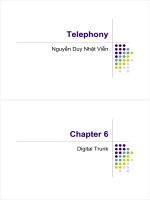 Telephony - Chapter 6: Digital Trunk ppt