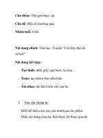 Giáo án mầm non chương trình đổi mới: Chủ đề: Một số loại hoa quả Nhóm tuổi: Chồi pot