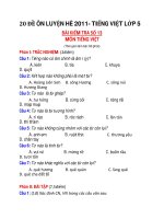 20 ĐỀ ÔN LUYỆN HÈ 2011- TIẾNG VIỆT LỚP 5 ĐỀ 13+14+15 docx