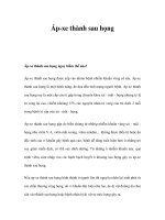 Áp-xe thành sau họng pot