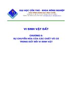 Vi sinh vật đất - Chương 6 ppsx