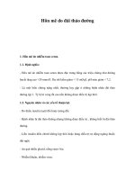 Hôn mê do đái tháo đường docx