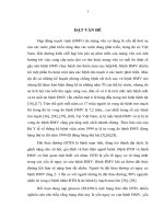 xác định tỷ lệ rối loạn dung nạp glucose ở bệnh nhân có hẹp động mạch vành do mảng vữa xơ