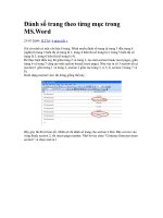 Đánh số trang thành nhiều phần trong word