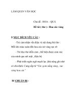 Giáo án mầm non chương trình đổi mới: Chủ đề : HOA – QUẢ, Đề tài ( thơ ) : Hoa cúc vàng doc