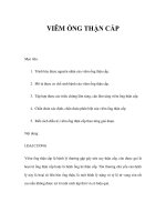 VIÊM ỐNG THẬN CẤP pdf