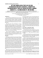 BÁO CÁO NGHIÊN CỨU KHOA HỌC KỸ THUẬT: ppt