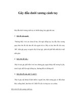 Gãy đầu dưới xương cánh tay pptx