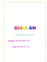Giáo án mầm non chương trình đổi mới: Nhóm chữ m,l ( lần 1) pot