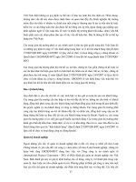TỰ DO HÓA THỊ TRƯỜNG CHỨNG KHOÁN VIỆT NAM - CÁC VẤN ĐỀ CHỦ YẾU ĐỐI VỚI CƠ QUAN QUẢN LÝ NHÀ NƯỚC VỀ CHỨNG KHOÁN VÀ CÁC CÔNG TY CHỨNG KHOÁN TRONG NƯỚC - Phần 9 pdf
