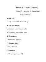 LESSON PLAN (grade 11- advanced) Period 17 pps