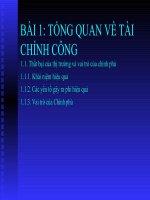 Tổng qua về tài chính công ppt