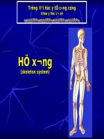 bài giảng giải phẫu hệ xương