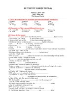 ĐỀ THI TỐT NGHIỆP THPT (6) Năm học : 2010 - 2011 Môn : Tiếng Anh pps