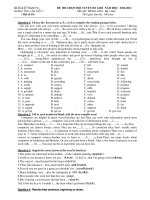 ĐỀ THI CHỌN ĐỘI TUYỂN HS GIỎI NĂM HỌC 2010-2011 Môn thi: TIẾNG ANH- ( Bài số 10 ) pdf