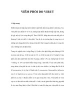 VIÊM PHỔI DO VIRUT potx