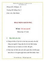 Giáo án mầm non chương trình đổi mới: HOẠT ĐỘNG KHÁM PHÁ. Đề tài: Ước mơ của bé potx