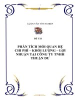 Đề tài: PHÂN TÍCH MỐI QUAN HỆ CHI PHÍ – KHỐI LƯỢNG – LỢI NHUẬN TẠI CÔNG TY TNHH THUẬN DƯ pptx