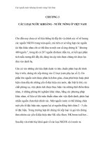 Các nguồn nước khoáng & nước nóng Việt Nam - CHƯƠNG 3 CÁC LOẠI NƯỚC KHOÁNG - NƯỚC NÓNG Ở VIỆT NAM doc