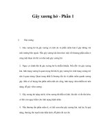 Gãy xương hở - Phần 1 ppsx