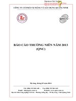 báo cáo thường niên năm 2013 công ty cổ phần xi măng và xây dựng quảng ninh