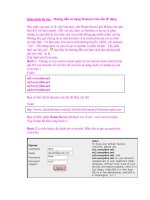 Giáo trình tin học : Hướng dẫn sử dụng Domain trên nền IP động pot