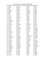 Pronunciation of the endings doc