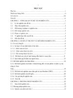 tìm hiểu các yếu tố ảnh hưởng đến quyết định mua hàng phong thủy của khách hàng tại cửa hàng số 5 thuộc doanh nghiệp hoàng anh