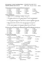 ĐỀ KIỂM TRA HỌC KỲ II Đề 002 - TRƯỜNG THPT BC CHU VĂN AN pdf