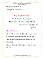 Giáo án mầm non chương trình đổi mới: Chủ đề:Động vật sống trong rừng - Đề tài: Tại sao vòi của con voi lại dài nhỉ pptx