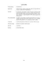 Giáo trình : KỸ THUẬT LÊN MEN THỰC PHẨM CỔ TRUYỀN VIỆT NAM VÀ CÁC NƯỚC TRONG VÙNG part 7 potx