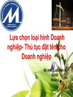 Lựa chọn loại hình doanh nghiệp và cách đặt tên