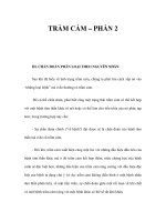 TRẦM CẢM – PHẦN 2 docx