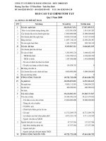 công ty cổ phần xi măng sông đà báo cáo tài chính tóm tắt quý 1 năm 2009