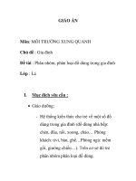 Giáo án mầm non chương trình đổi mới: Chủ đề : Gia đình Đề tài : Phân nhóm, phân loại đồ dùng trong gia đình Lớp : Lá docx