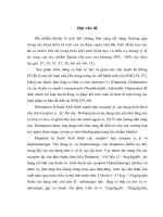 Đánh giá tác dụng phối hợp dopmin với dobutamin và noradre nalin với dobutamin truyền tĩnh mạch trong điều trị sốc nhiễm khuẩn tại khoa cấp cứu và điều trị tích cực bệnh viện bạch mai