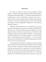 So sánh sự biến đổi về cơ học phổi, khí máu động mạch của bệnh nhân ALI và ARDS được thông khí nhân tạo bằng phương pháp kiểm soát áp lực và kiểm soát thể tích theo chiến lược thông khí bảo vệ