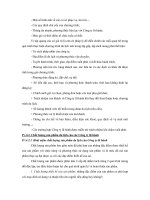 Tổ Chức vận chuyển hành khách và du lịch đường sắt Phần 10 pps