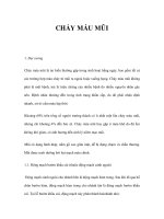 CHẢY MÁU MŨI ppsx