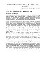 Phát triển mô hình lâm nghiệp trong phục hồi đất bị suy thoái