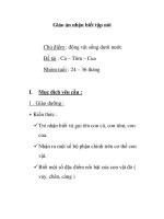Giáo án mầm non chương trình đổi mới: Chủ điểm : động vật sống dưới nước - Đề tài : Cá – Tôm – Cua Nhóm tuổi : 24 – 36 tháng doc