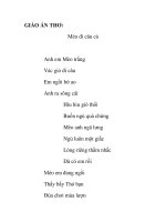 Giáo án mầm non chương trình đổi mới: Mèo đi câu cá potx