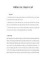 VIÊM CẦU THẬN CẤP pot