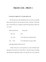 TRẦM CẢM – PHẦN 1 pps